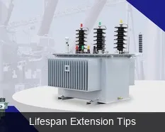 Oil Type Distribution Transformer Lifespan Extension Tips
