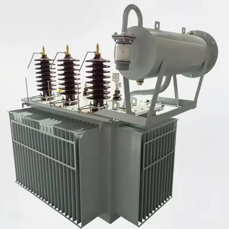 padr&atilde;o imerso &oacute;leo 10MVA IEC 60076 do transformador de poder 22kV/0.4kV trif&aacute;sico